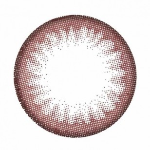  Candy Magic Beginner Chocolate 1-Day 10片裝